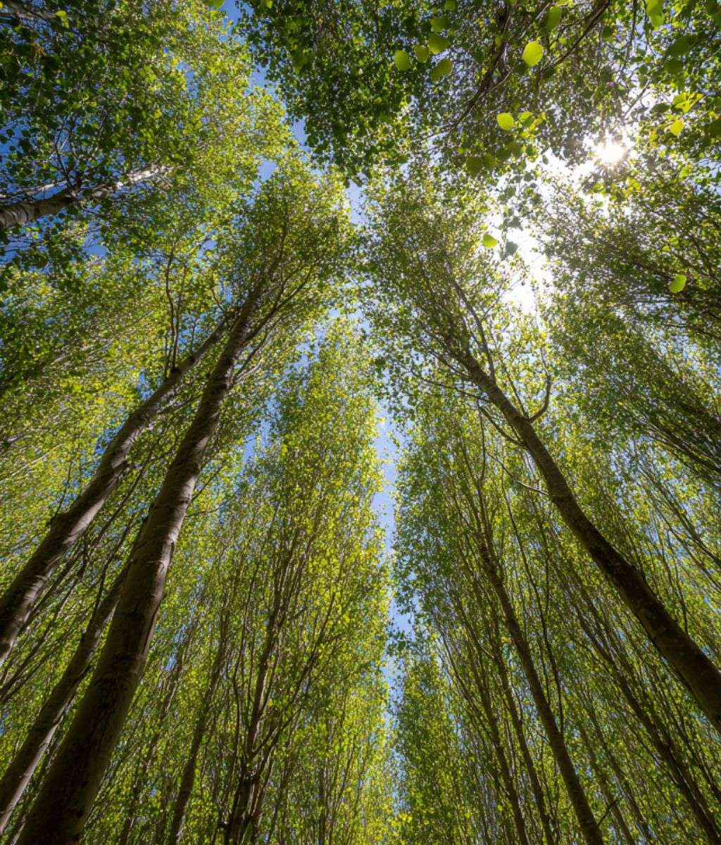 Stylish console table with unique art piece and vases from Dom Edizioni.