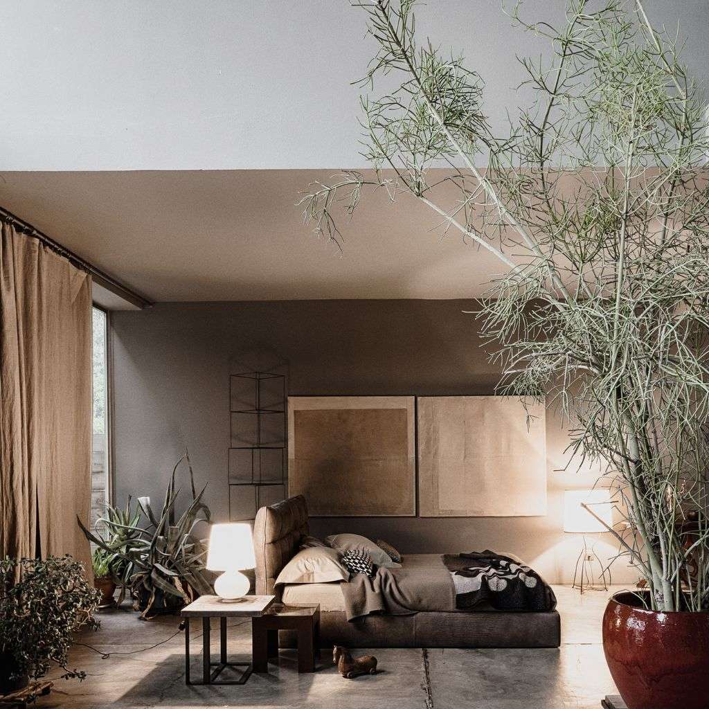 A cozy and minimalist bedroom with a Cierre 1972 bed, showcasing exceptional craftsmanship.