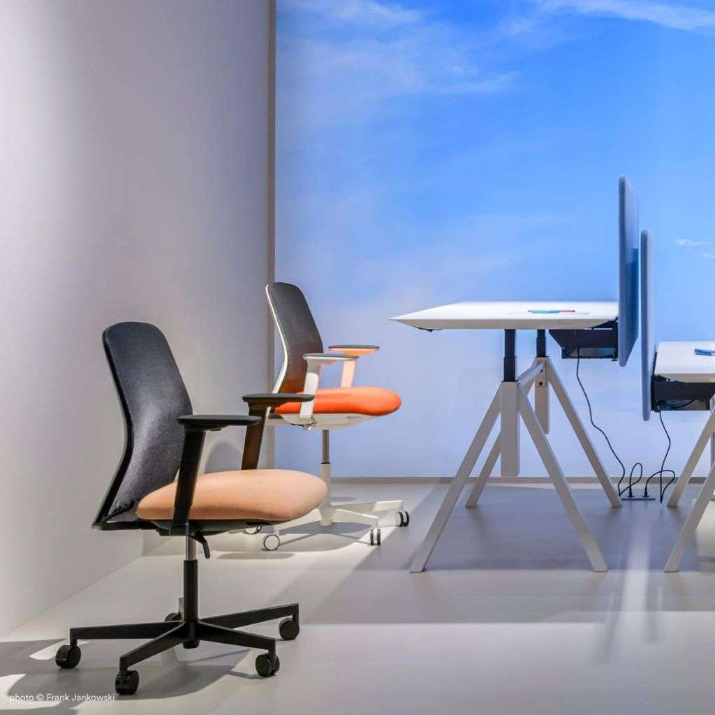 Pedrali contemporary office chairs with sleek design, set in a minimalist workspace.
