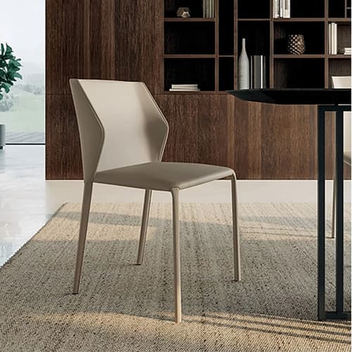 Tailor Dining Chair by Dallagnese