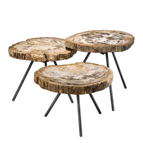 De Soto Set Of 3 Light Range Petrified Wood Coffee Table by Eichholtz