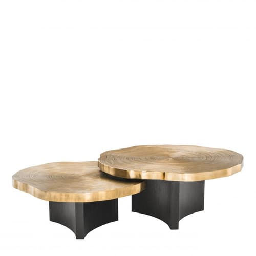 Thousand Oaks Set Of 2 Coffee Table by Eichholtz