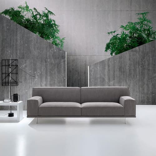 Young Sofa by Felix Collection