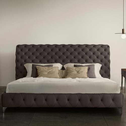 Aston Alto Night Bed by Gamma and Dandy