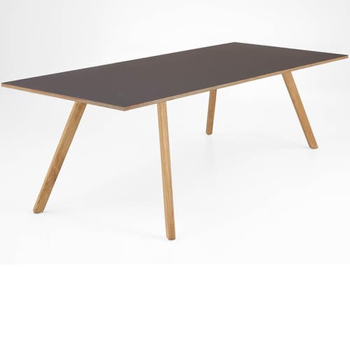 Phoenix Dining Table by Nou