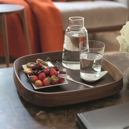 Mix Tray Accessories by Quick Ship