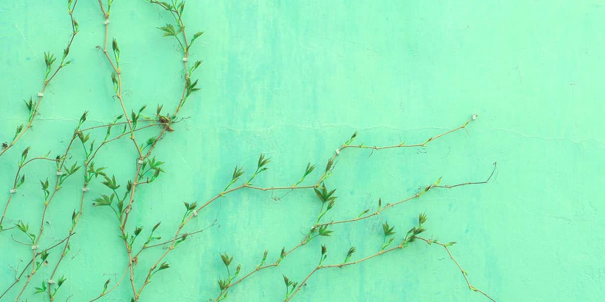 FCI London autumn home design trends: warm neutrals, layered textures, ambient lighting.