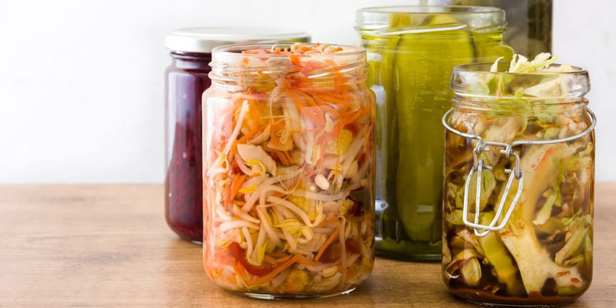 Eaten Alive: The Rise of Fermented Foods