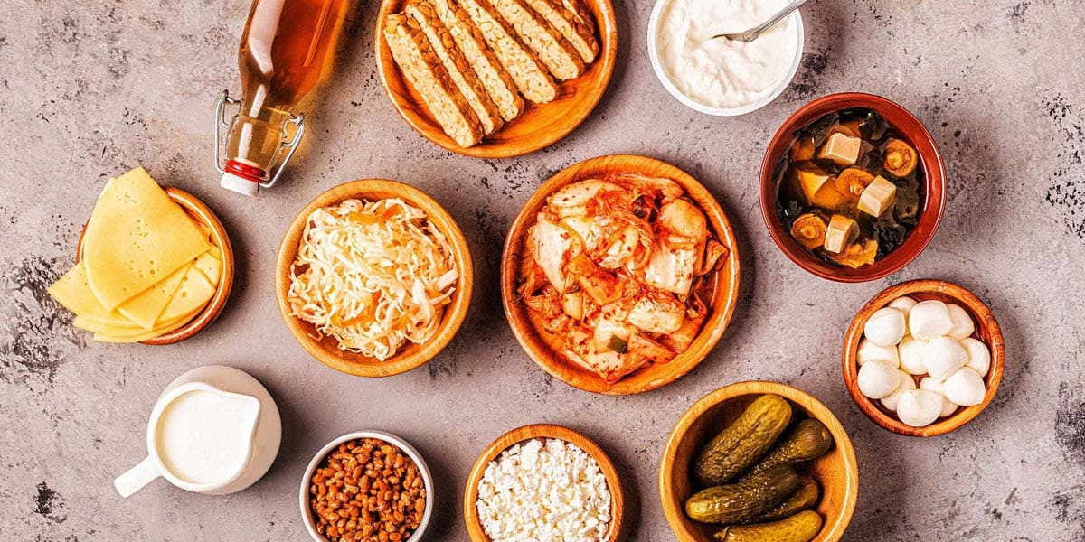 The how, what and why of fermentation