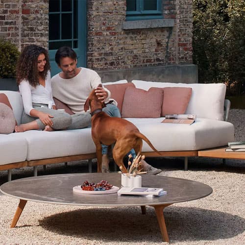 How to Choose A PetFriendly Sofa?