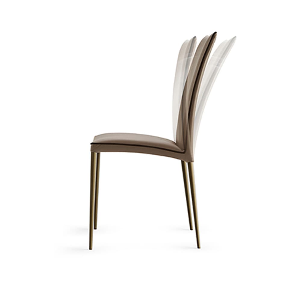 Asia With Metal Legs Dining Chair By FCI London