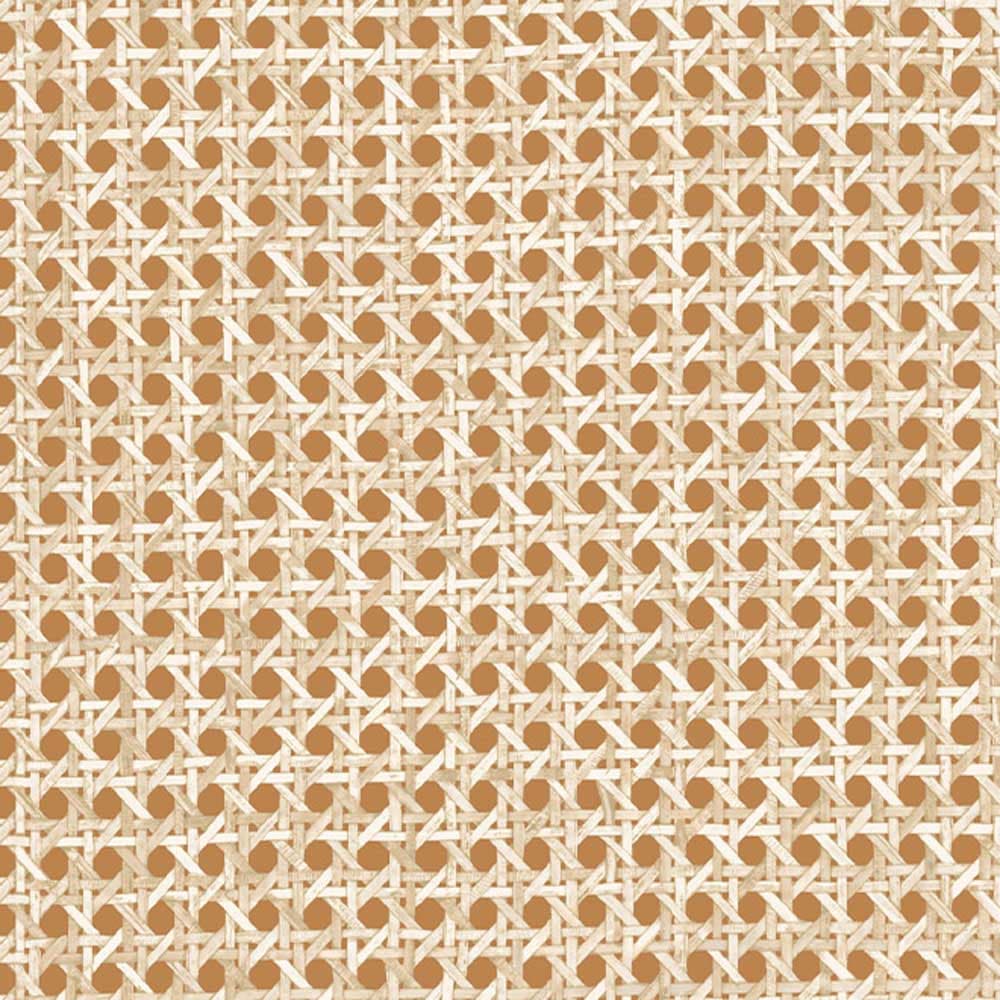 Le Rotin Wallpaper by Arte