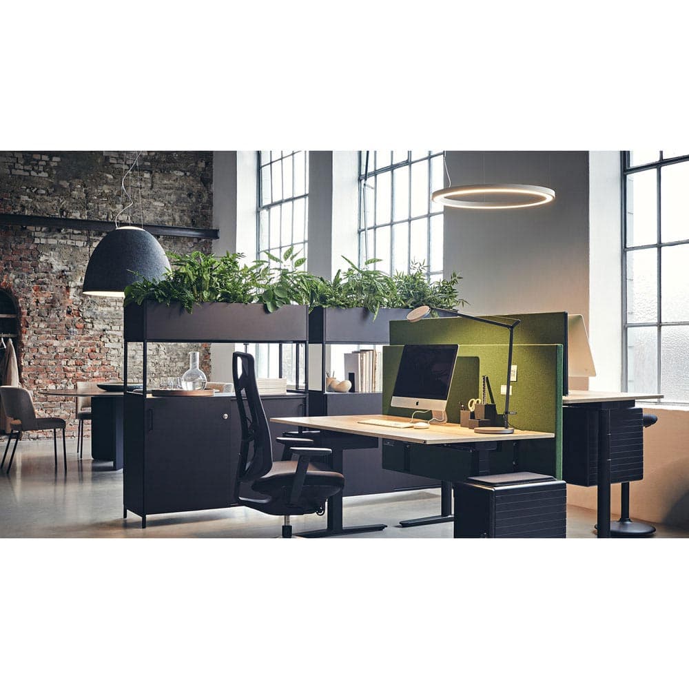 Nur Acoustic Suspension Lamp by Artemide
