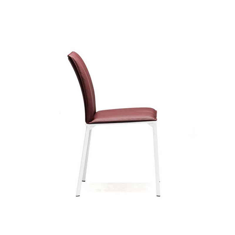 Rita dining chair in contemporary setting by Cattelan Italia at FCI London
