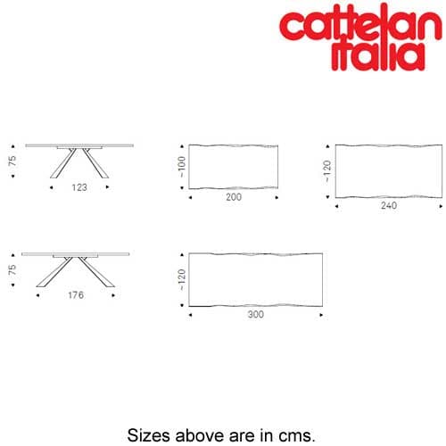 Eliot Wood Fixed Table by Cattelan Italia