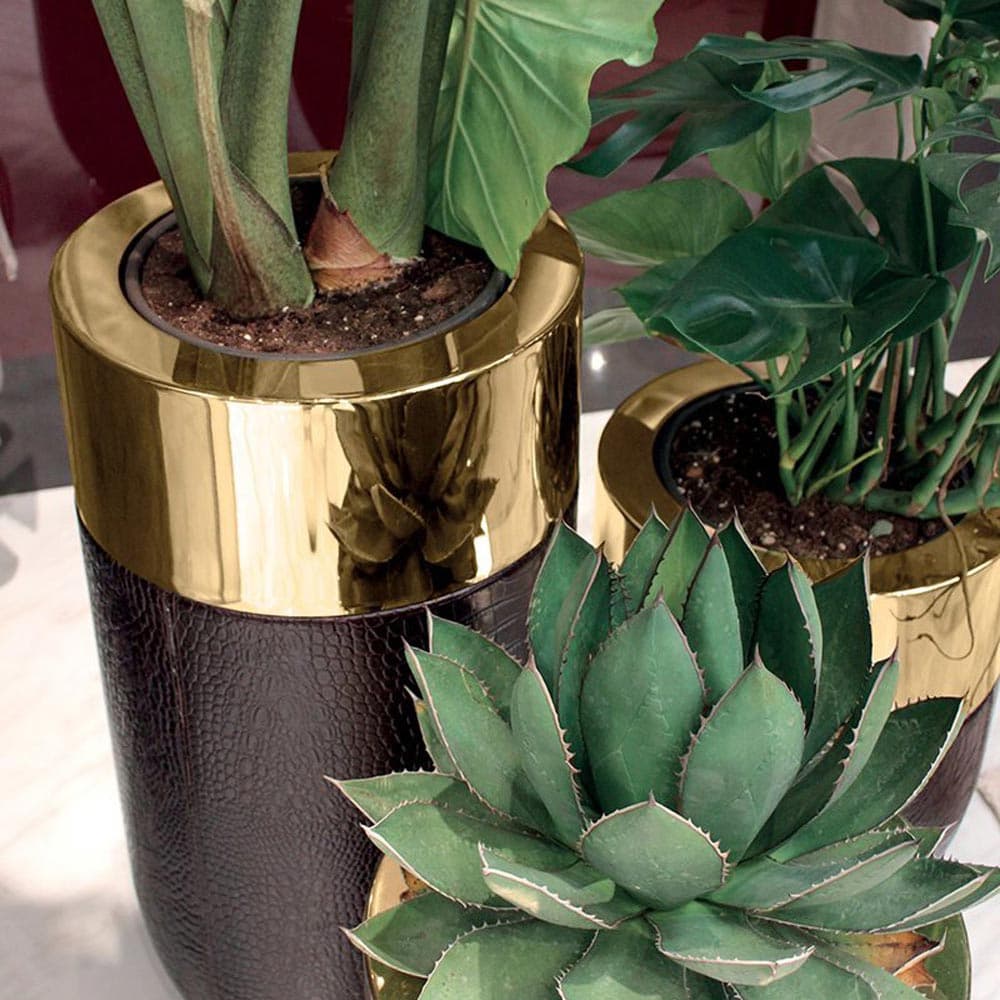 Godwin Cachepot Planter by Longhi