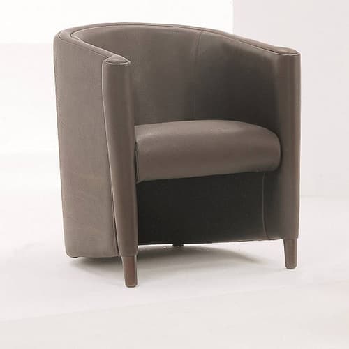 Queen Armchair Accent Collection by Naustro Italia