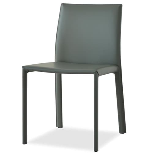 Iris Dining Chair by Aria