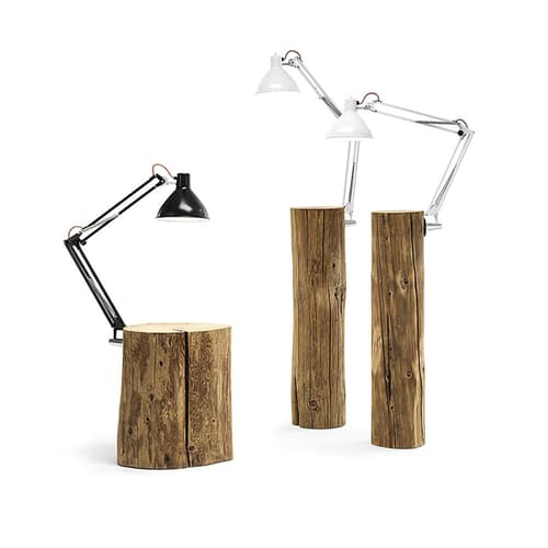Plant Floor Lamp by Mogg