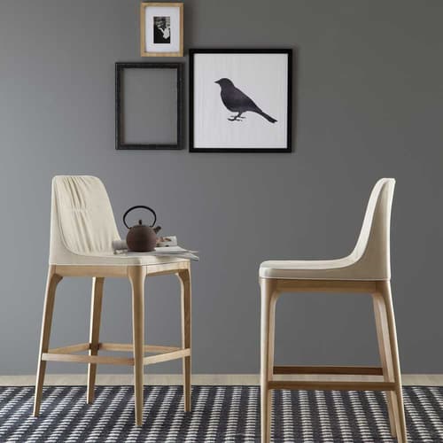 Mivida Bar Stool by Tonin Casa