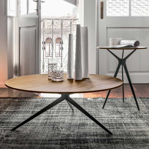 Tree Side Table by Tonin Casa