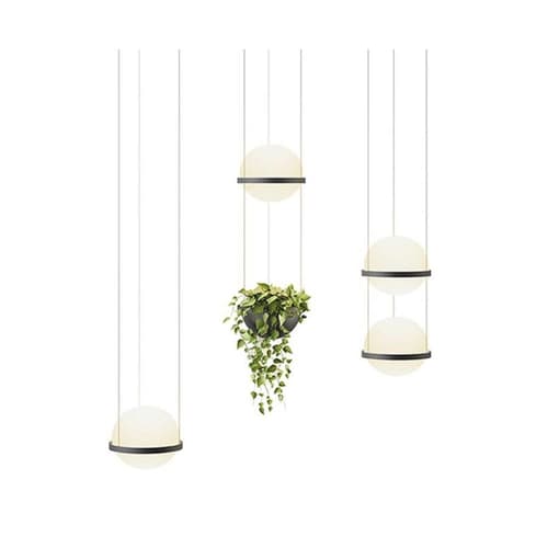 Palma Pendant Lamp by Vibia