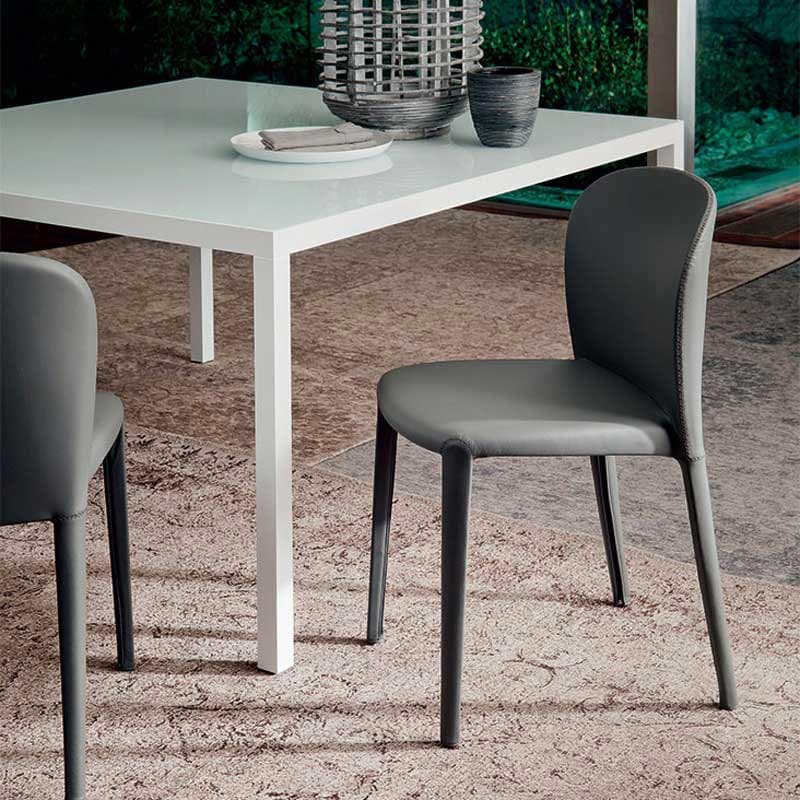 Daisy Dining Chair by Cattelan Italia