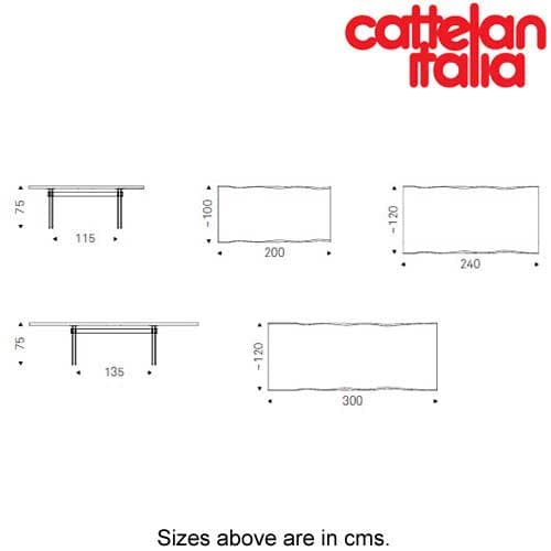 Ikon Fixed Table by Cattelan Italia