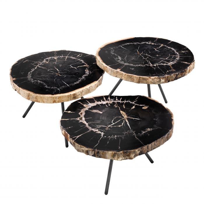 De Soto Set Of 3 Dark Range Petrified Wood Coffee Table by Eichholtz