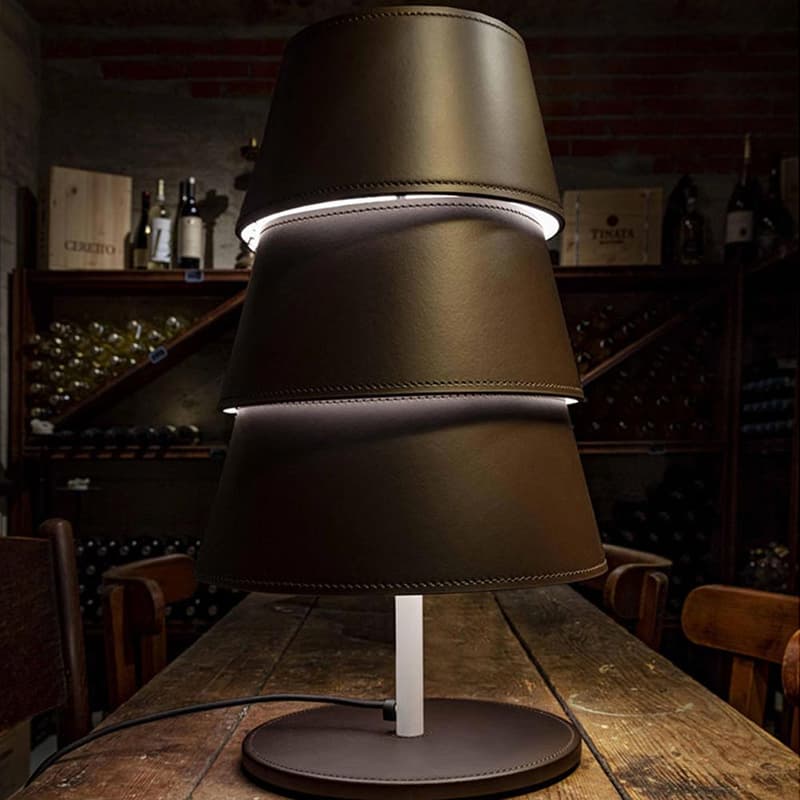 Tulip Table Lamp by Enrico Pellizzoni
