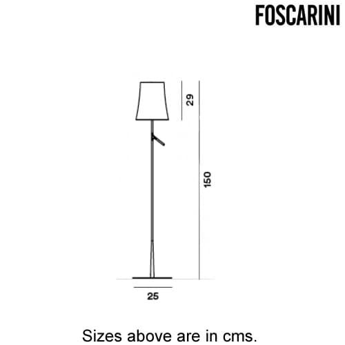 Birdie Lettura Floor Lamp by Foscarini