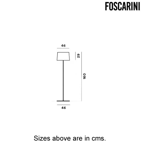 Twiggy Lettura Floor Lamp by Foscarini