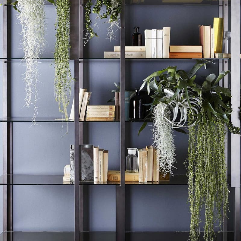 Tortona Bookcase by Gallotti & Radice