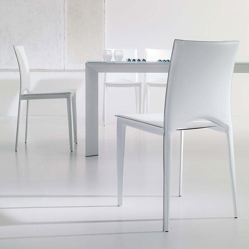 Viva Dining Chair by Ozzio Italia