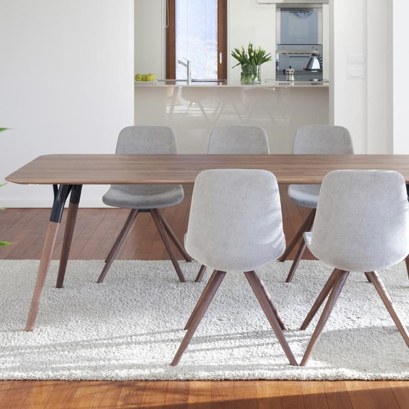 Salt And Pepper Rectangular Dining Table by Tonon