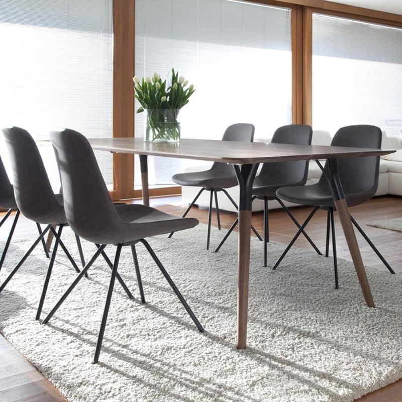 Salt And Pepper Rectangular Dining Table by Tonon