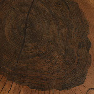 Mdf Veneered In Log Section Of Walnut