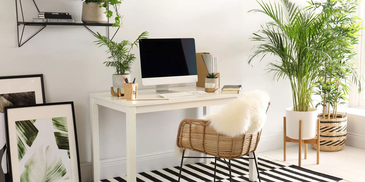 5 Hacks to Make you More Productive in your Home Office