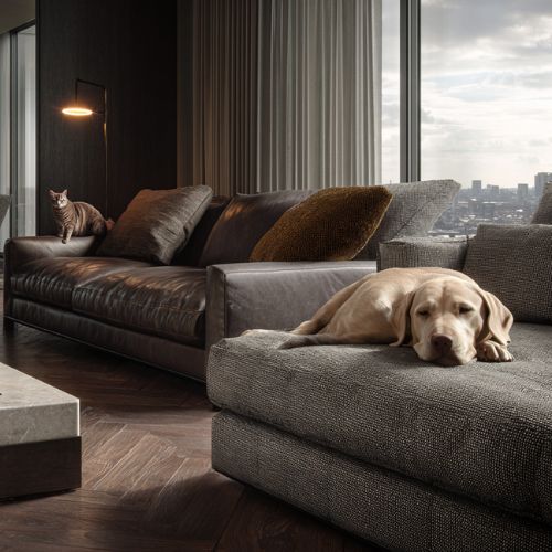 Leather vs Fabric Sofas & Pets: The Truth Nobody Tells You