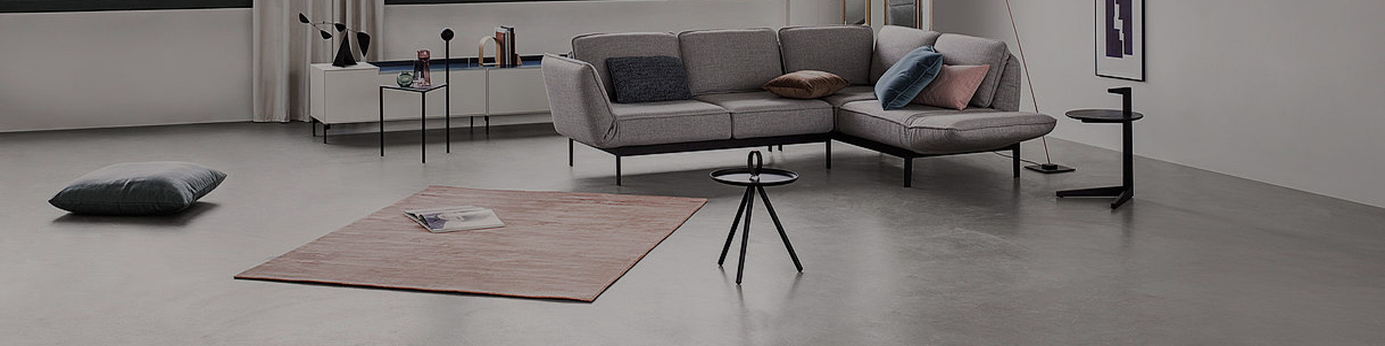 Rolf Benz Furniture