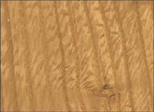 LEGNO-MASSELO-ROVERE-NATURALE