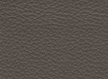 NAPPA-2205-ANTRACITE