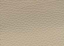 NAPPA-2613-TORTORINO