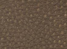 SIVIGLIA-1011-MARRONE