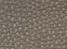 SIVIGLIA-1021-TORTORA