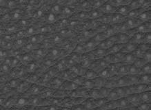 SIVIGLIA-1028-VERDERAME